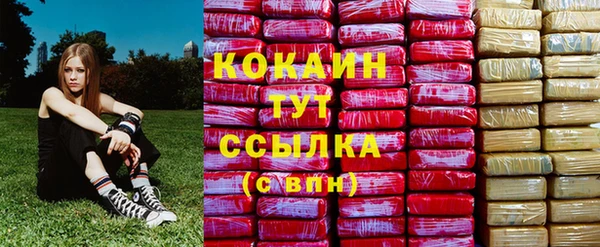 твердый Абаза