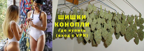 твердый Абаза