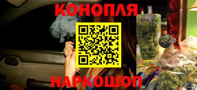 гидра Дубна