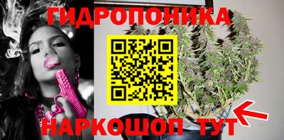 гидра Дубна