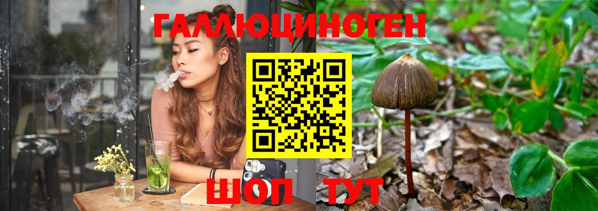 Галлюциногенные грибы Psilocybine cubensis  Вход с VPN  Аксай 